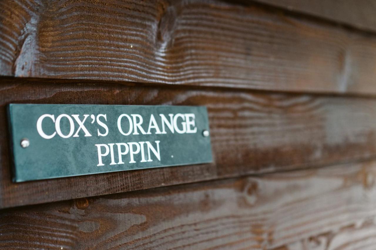 The Apple Rooms - Houghton Lodge Stockbridge  Exterior foto
